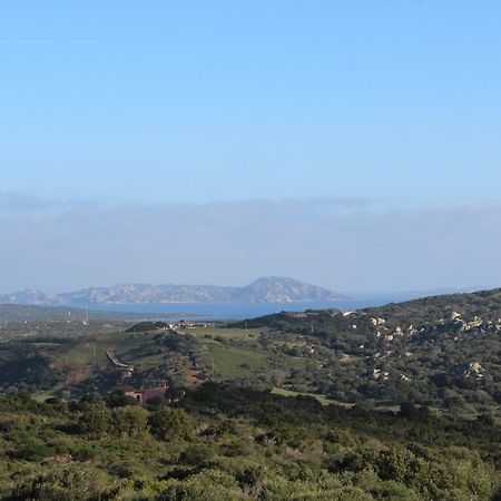 Appartamento L'Albero Magico Nella Campagna Gallurese Santa Teresa Gallura Buitenkant foto
