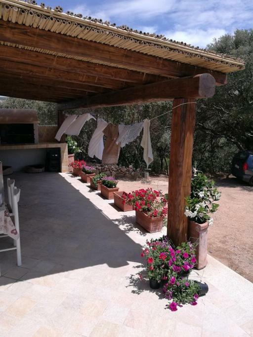 Appartamento L'Albero Magico Nella Campagna Gallurese Santa Teresa Gallura Buitenkant foto