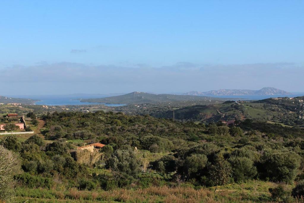 Appartamento L'Albero Magico Nella Campagna Gallurese Santa Teresa Gallura Buitenkant foto