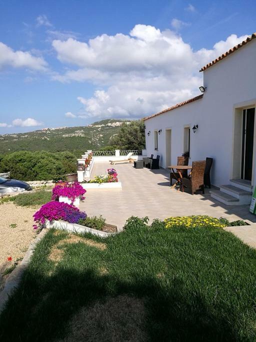 Appartamento L'Albero Magico Nella Campagna Gallurese Santa Teresa Gallura Buitenkant foto