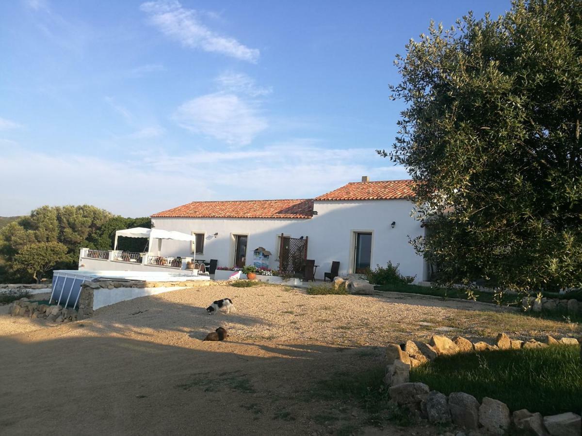 Appartamento L'Albero Magico Nella Campagna Gallurese Santa Teresa Gallura Buitenkant foto