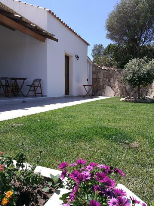 Appartamento L'Albero Magico Nella Campagna Gallurese Santa Teresa Gallura Buitenkant foto