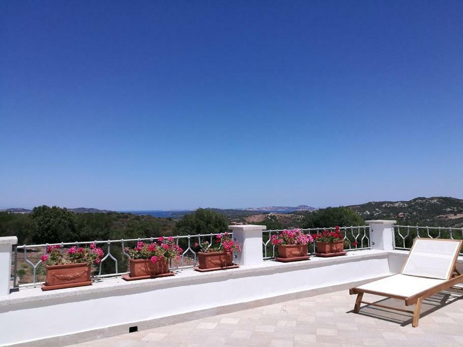 Appartamento L'Albero Magico Nella Campagna Gallurese Santa Teresa Gallura Buitenkant foto