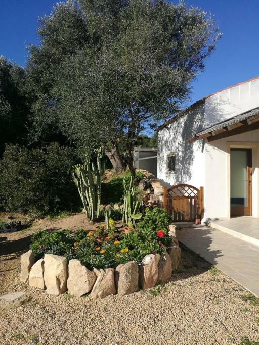 Appartamento L'Albero Magico Nella Campagna Gallurese Santa Teresa Gallura Buitenkant foto