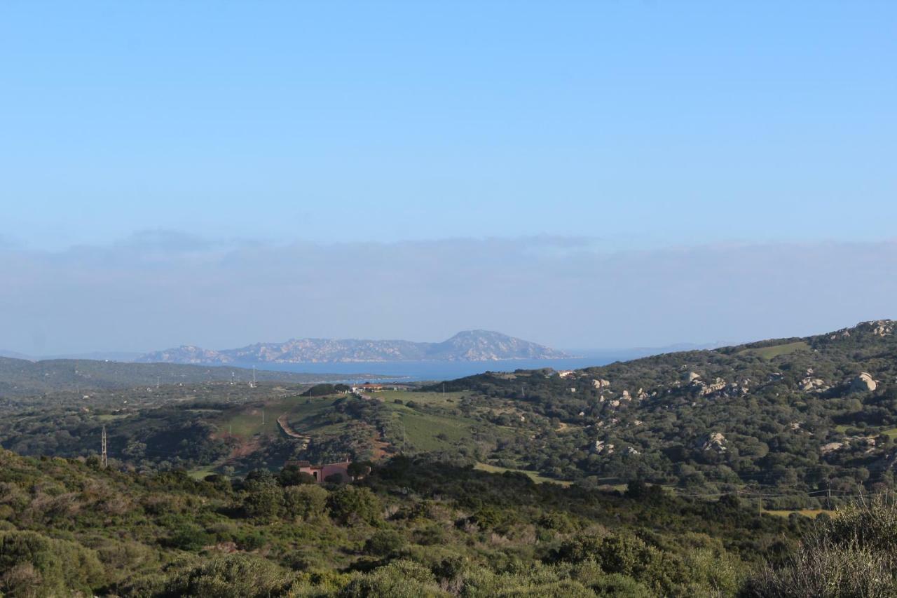Appartamento L'Albero Magico Nella Campagna Gallurese Santa Teresa Gallura Buitenkant foto